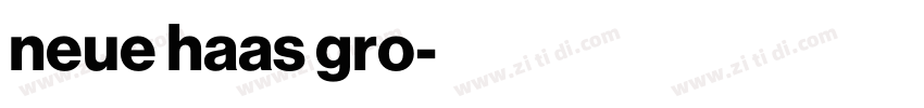 neue haas gro字体转换 neue haas gro字体转换